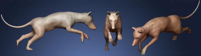 3D model Thylacine (STL)